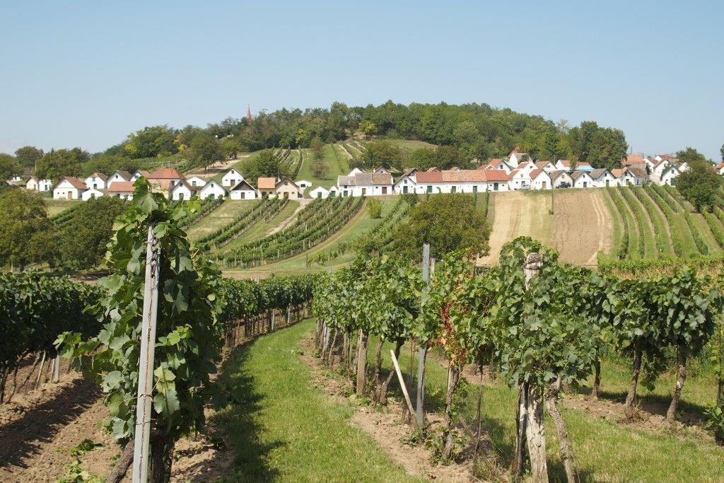 Gaestehaus Weinviertel - Niederoesterreich Siebenhirten Extérieur photo